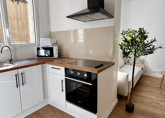 Apartment Le Rive Droite - T2 Hypercentre De *